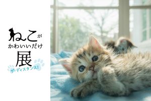 1595305622-300x200.jpg