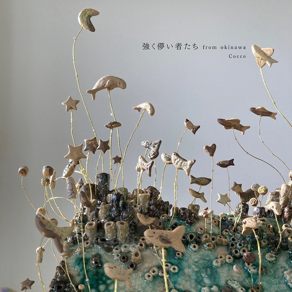 「強く儚い者たち from okinawa」