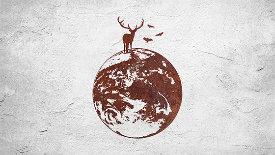 bg image